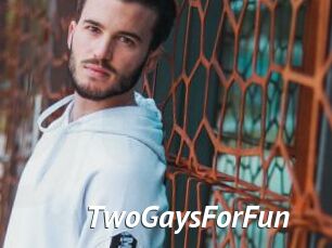 TwoGaysForFun