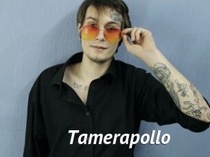 Tamerapollo