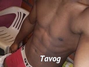 Tavog