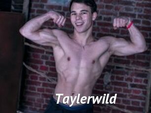 Taylerwild