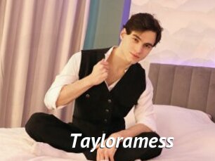 Tayloramess