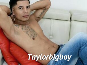 Taylorbigboy