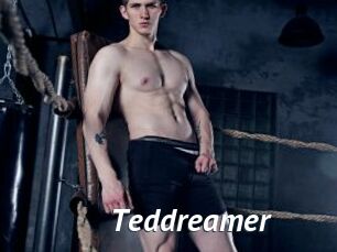 Teddreamer