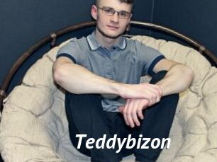 Teddybizon