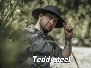 Teddysteel