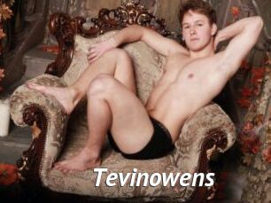 Tevinowens
