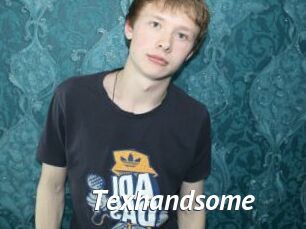texhandsome Gay Vod