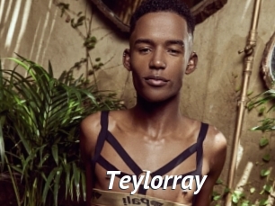teylorray Gay Vod