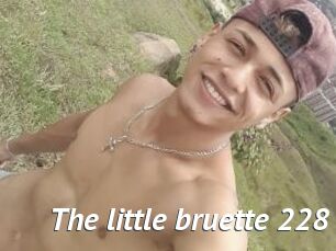 The_little_bruette_228