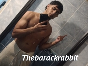 Thebarackrabbit
