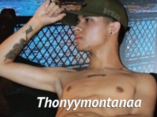 Thonyymontanaa