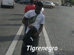 Tigrenegro