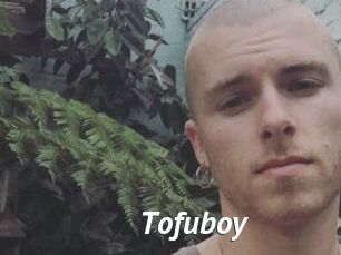 Tofu_boy