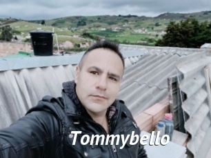 Tommybello
