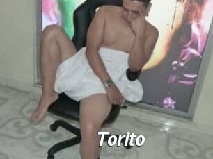 Torito