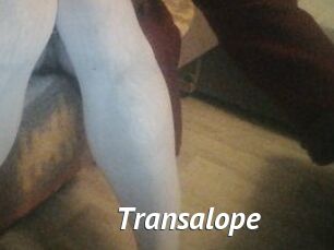 Transalope