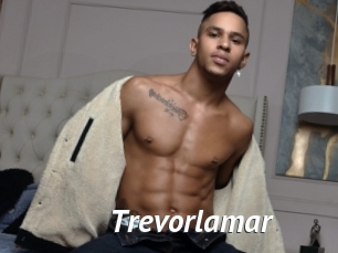 Trevorlamar