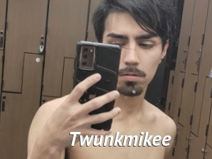 Twunkmikee