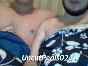 UncutPenis0214