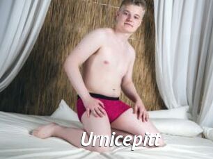 Urnicepitt