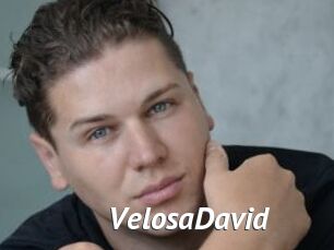 VelosaDavid