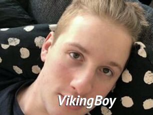 VikingBoy