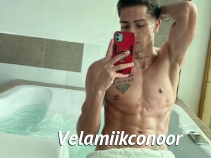 Velamiikconoor