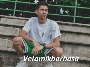 Velamikbarbosa