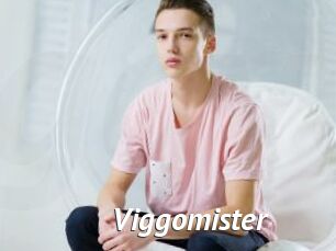 Viggomister