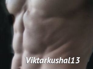 Viktarkushal13