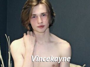 Vincekayne