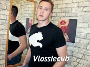 Vlossiecub