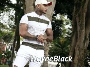 WayneBlack