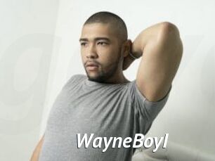 WayneBoyI