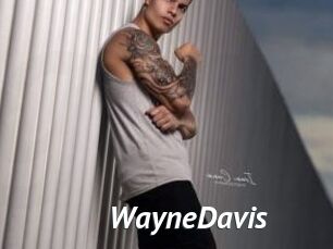 WayneDavis