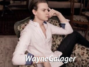 WayneGalager