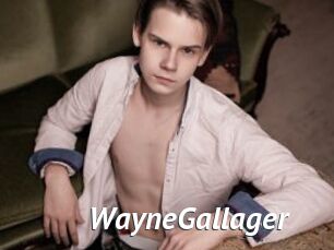 WayneGallager