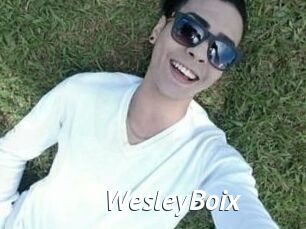 Wesley_Boix