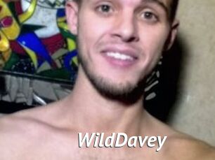 WildDavey