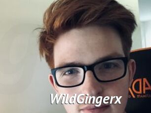 WildGingerx