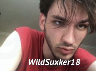 WildSuxker18 Gay Vod