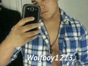 Wolfboy1213