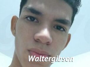 Waltergibson