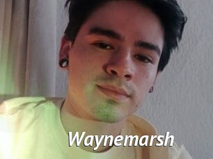 Waynemarsh