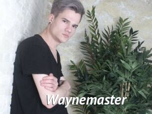 Waynemaster