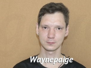 Waynepaige