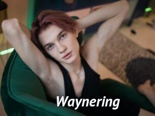 waynering Gay Vod