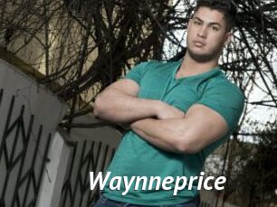 Waynneprice