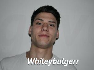 Whitey_bulgerr