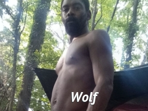 Wolf